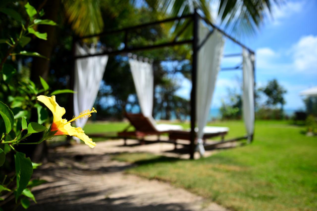 Pousada Enseada Dos Golfinhos Praia de Pipa Ngoại thất bức ảnh